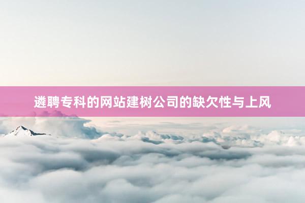 遴聘专科的网站建树公司的缺欠性与上风